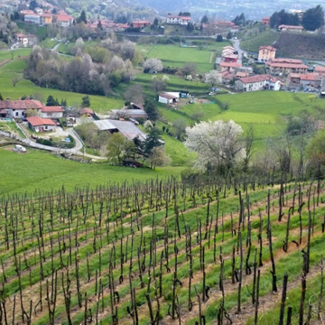 la-ca-azienda-agricola